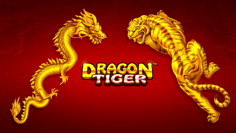 Dragon Tiger tại BMW Bet – Game bài siêu tốc, thắng lớn trong tích tắc 1 Dragon Tiger trò chơi bài casino trực tuyến đang “gây sốt”